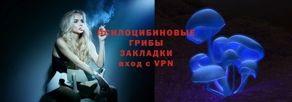 СК Богородицк
