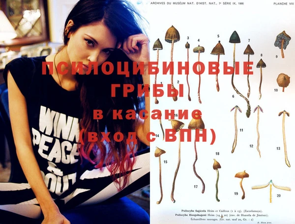 дмт Белокуриха