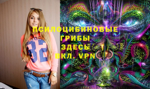 винт Баксан