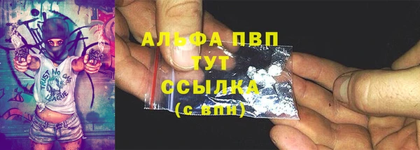 дмт Белокуриха