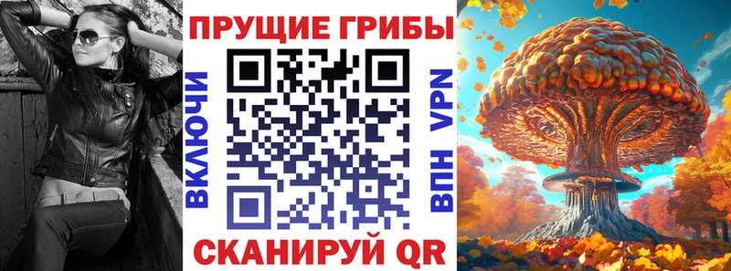 Галлюциногенные грибы GOLDEN TEACHER  Кандалакша 